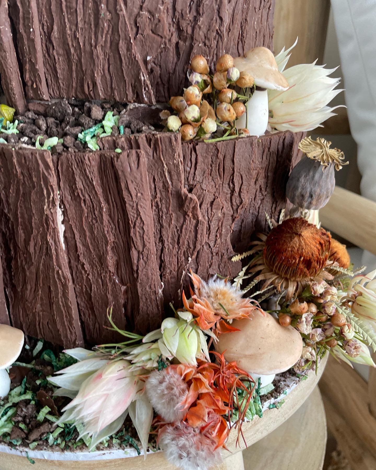 2 Tier Chocolate Tree Trunk Cake