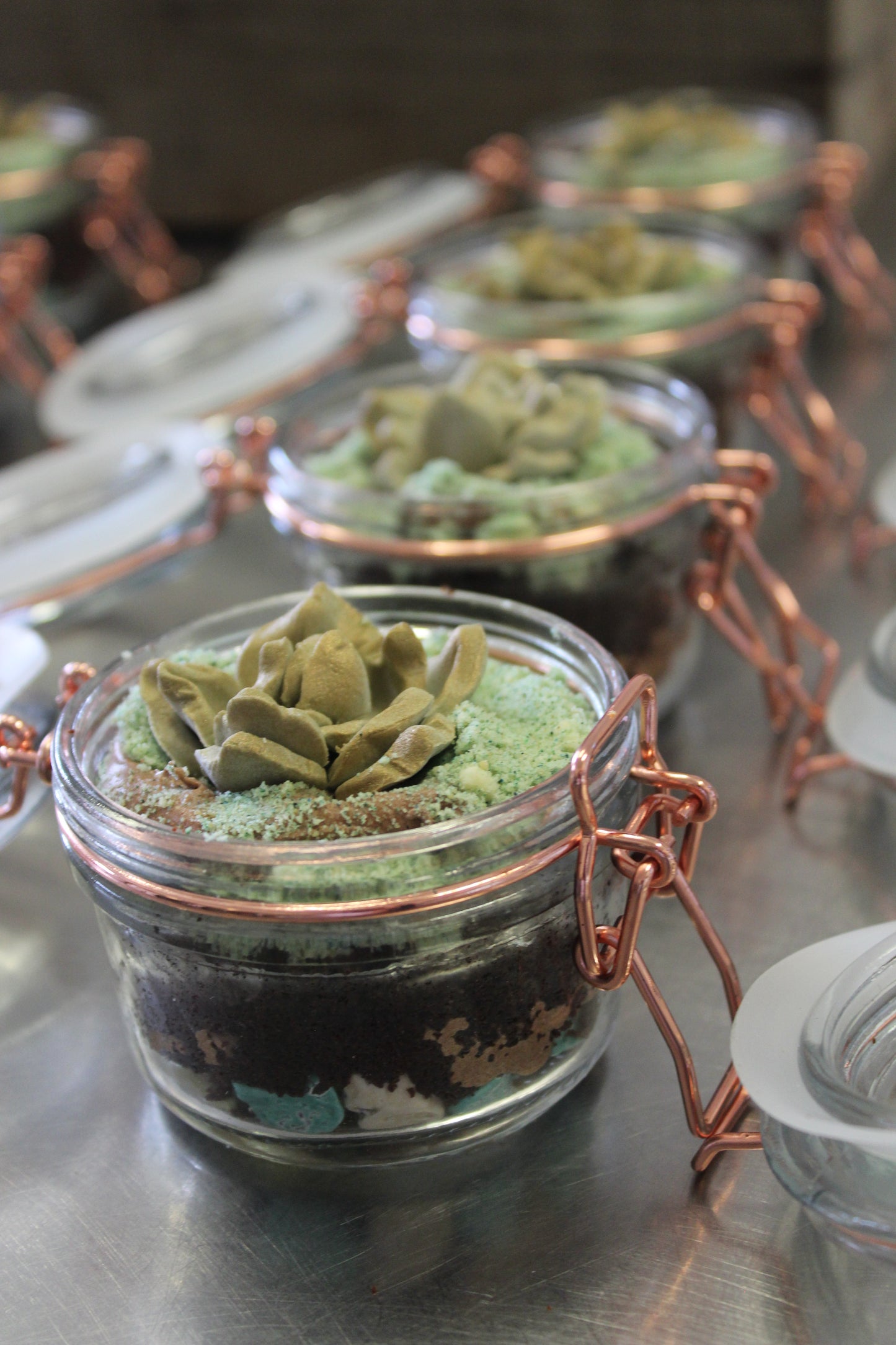 Dessert Succulent Jar Tower