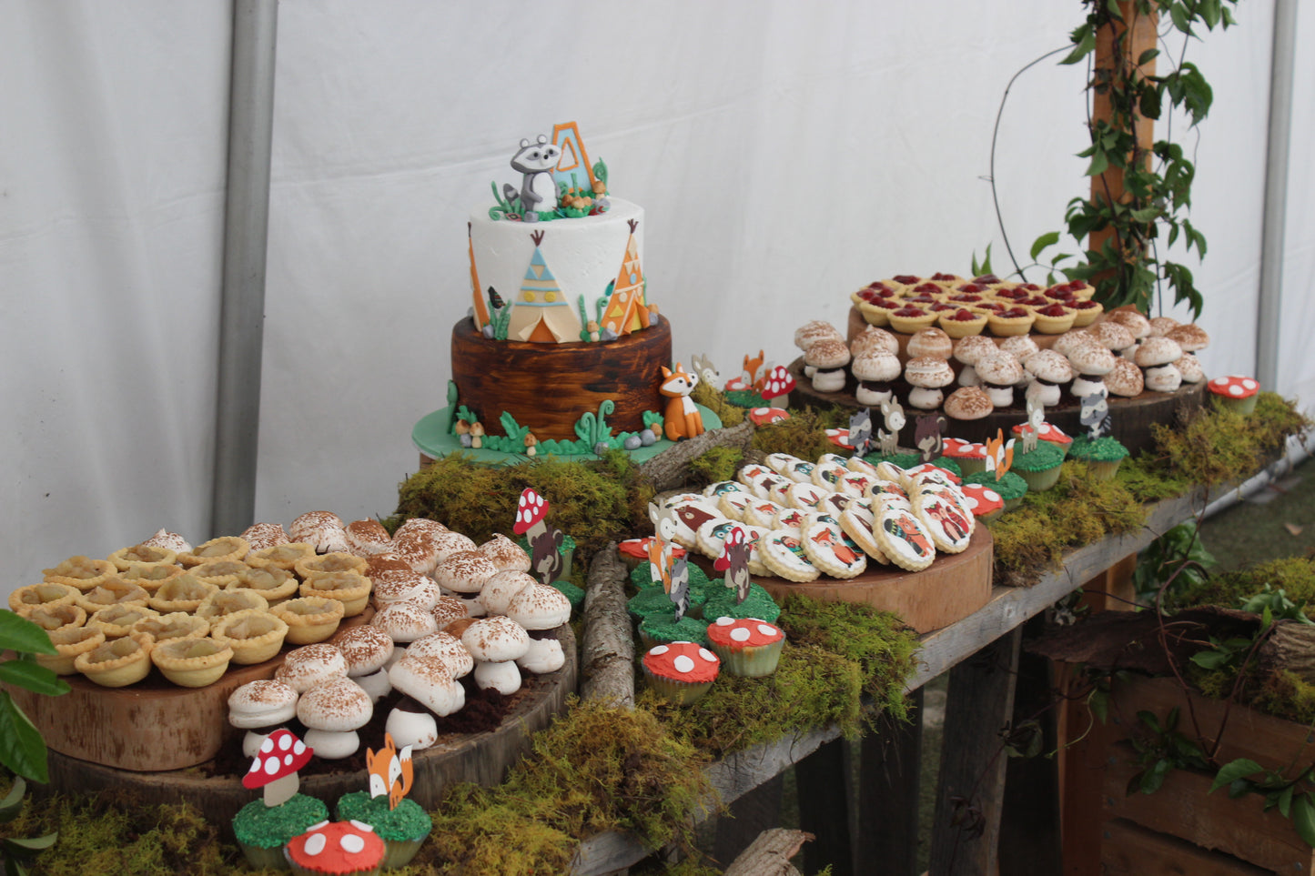 Grazing Dessert & Cake Woodlands 1st Birthday